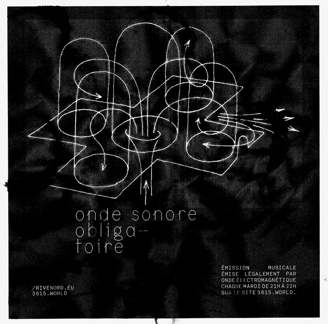 Portrait Ondes Sonores Obligatoires